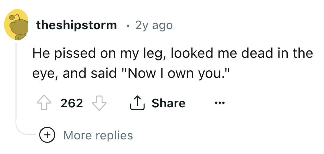 number - theshipstorm 2y ago He pissed on my leg, looked me dead in the eye, and said "Now I own you." 262 More replies